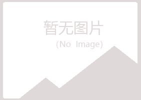 会泽县岑迷工程有限公司